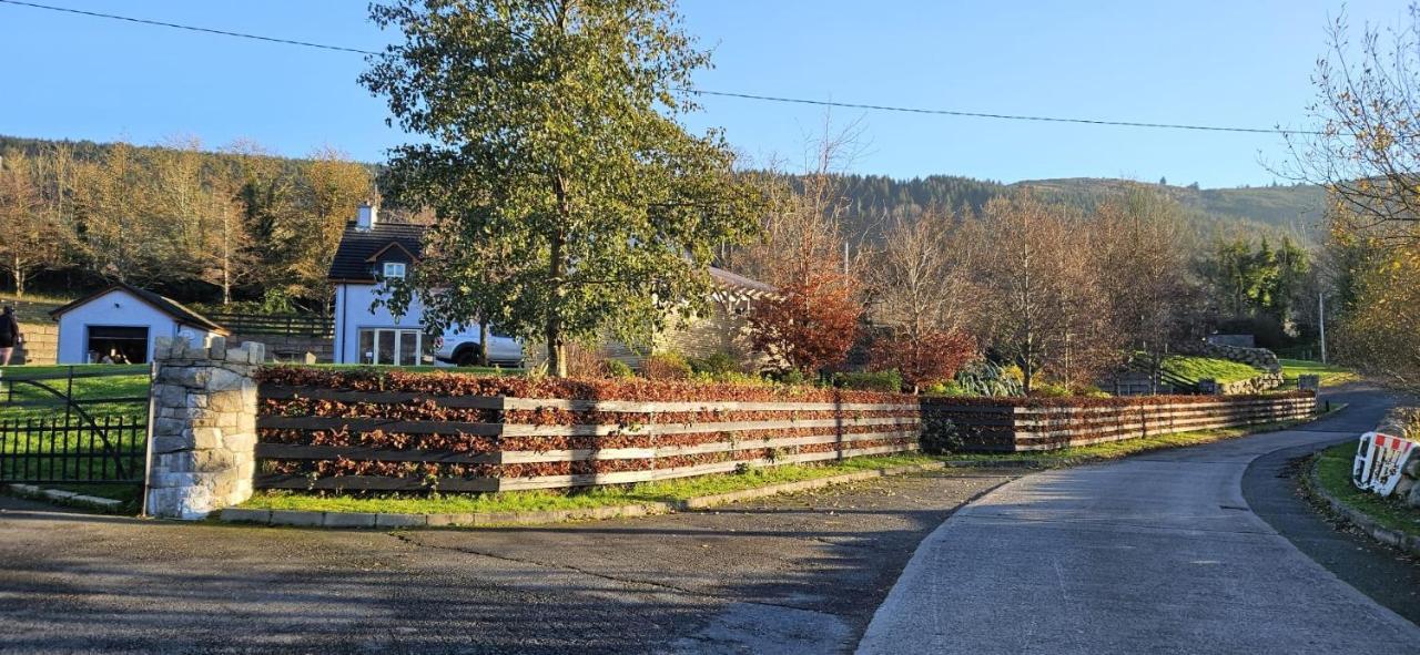 Rostrevor Valley House -Mountainside Hot Tub View Νιούρι Εξωτερικό φωτογραφία